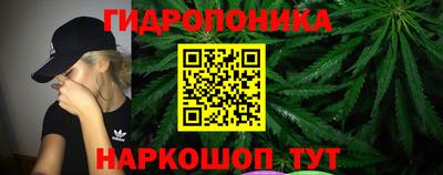 ешки Шебекино