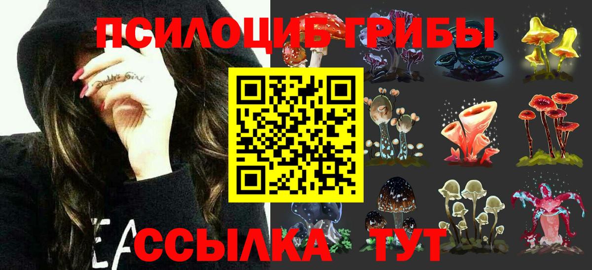Псилоцибиновые грибы Psilocybine cubensis Нефтеюганск